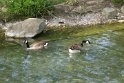 2019-04-18 15-55-57 Parc de la Courneuve DLe